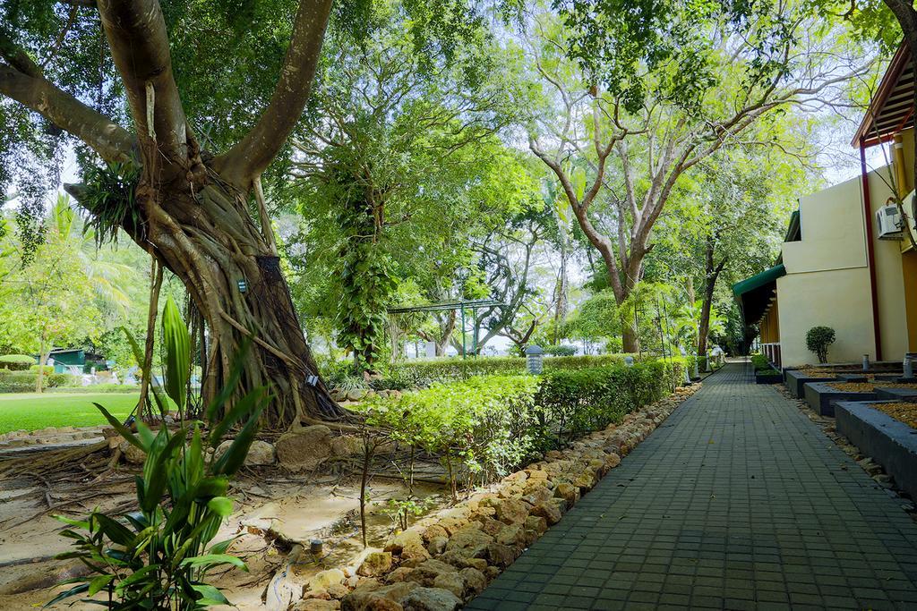 Miridiya Lake Resort Anuradhapura Zewnętrze zdjęcie