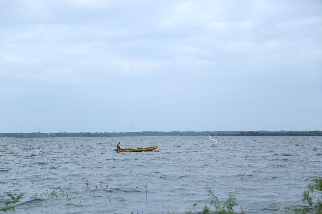 Miridiya Lake Resort Anuradhapura Zewnętrze zdjęcie
